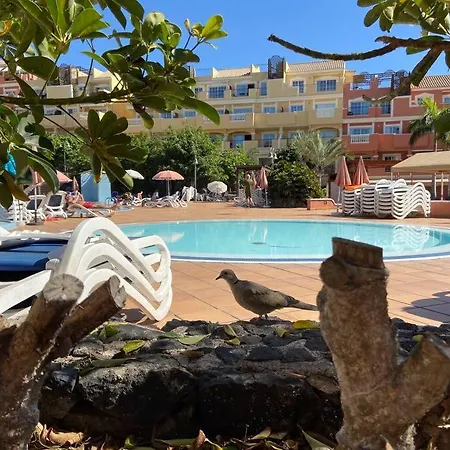 Appartement Amazing Penthouse